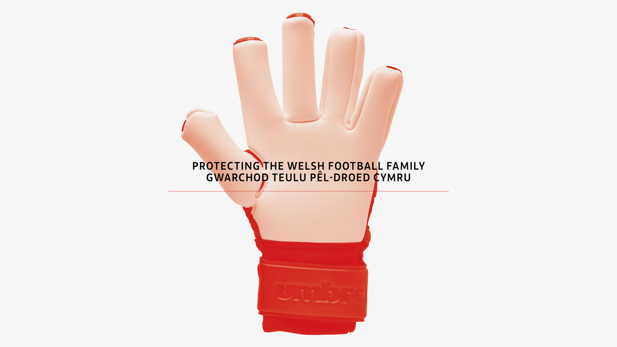 Football Association of Wales